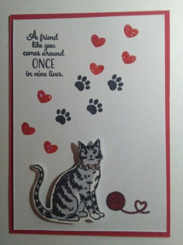 Stampin Up  nine lives gray tiger cat card kit jewel collar friendship real red
