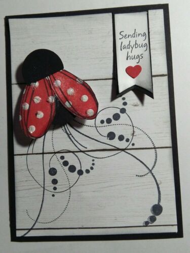Stampin Up ladybug hugs friendshipb card kit  so cute