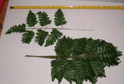 36  SILK LEATHER FERN STEMS WHOLESALE FLORAL, DECORATIONS,FREE SHIPPING