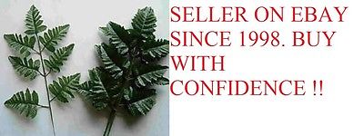 720 SILK LEATHER FERN  LEAF STEMS   WHOLESALE , HOME FLORAL, FREE SHIPPING !!!
