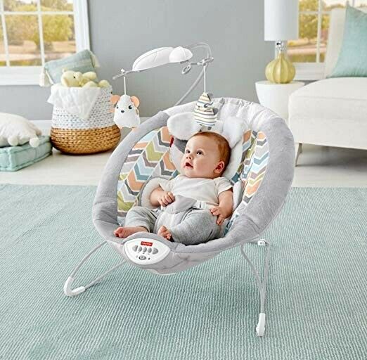 Fisher-Price My Little Snugapuppy Deluxe Bouncer. Free Shipping