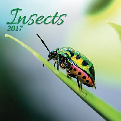 Turner Photo 2017 Insects Photo Wall Calendar, 12 x 24 inches opened 17998940028