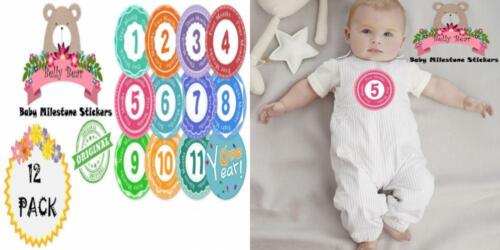 Belly Bear Classic Milestones and Holidays Baby Monthly Stickers Shower Gift...