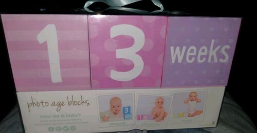 Keepsake Pink Baby Girl Month Age Blocks First Photo Baby Picture Prop Keepsake