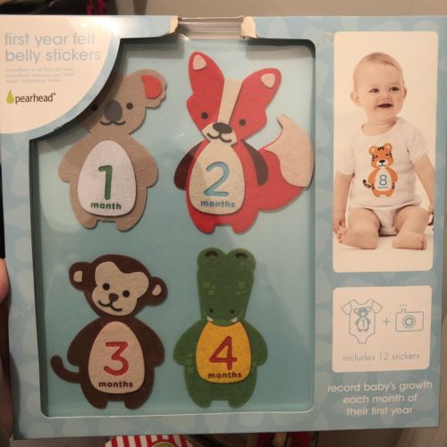 Newborn Felt Animal First Year Sticker Set Milestone Photo Prop Belly Stickers