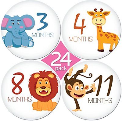KiddosArt 24 Pack of 4 Premium Baby Monthly Stickers By 1 Happy Animal Sticker