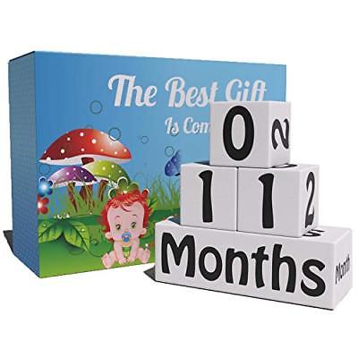 Baby Monthly Milestone Age Blocks Photo For Pictures Shower Gift PARTY SUPPLIES