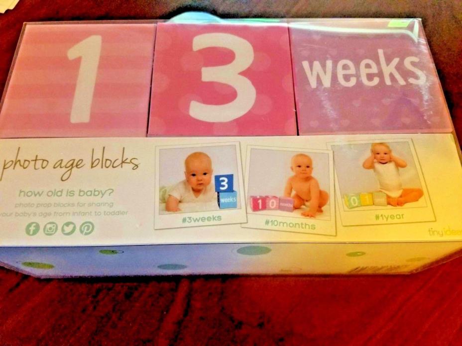 TINY IDEAS BABY'S FIRST YEAR MILESTONE WEEKLY MONTHLY BLOCKS PHOTO PROPS PINK
