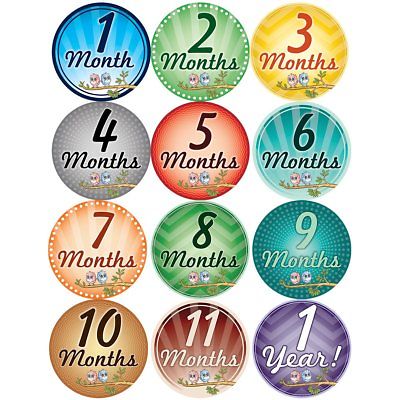 SALE!! Baby Monthly Milestone Growth Stickers - Great for Baby Showers!