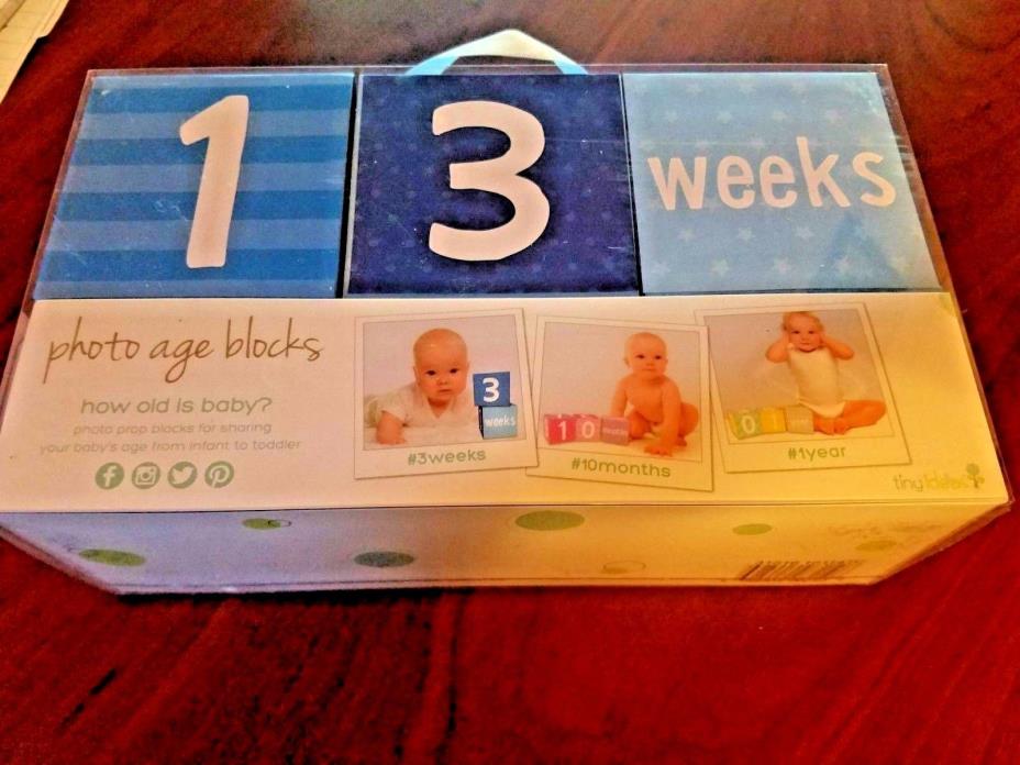TINY IDEAS BABY'S FIRST YEAR MILESTONE WEEKLY MONTHLY BLOCKS PHOTO PROPS BLUE