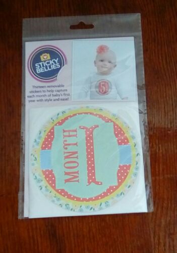 STICKY BELLIES Baby Monthly Photograph Stickers for Girl Garden Party Shower