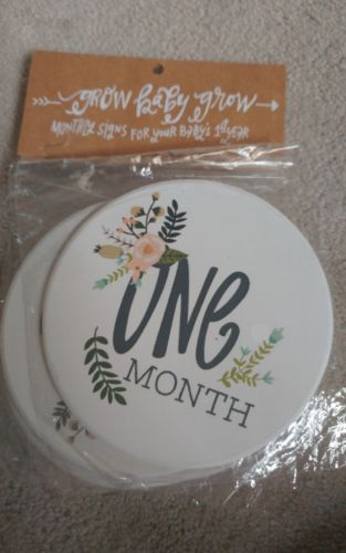 NEW! GROW BABY GROW!  Monthly SIGNS for Baby's 1st Year! HOBBY LOBBY