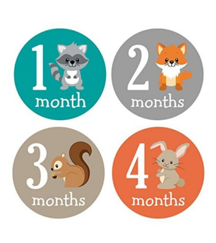 Pinkie Penguin Woodland Animals Monthly Milestone Stickers Baby