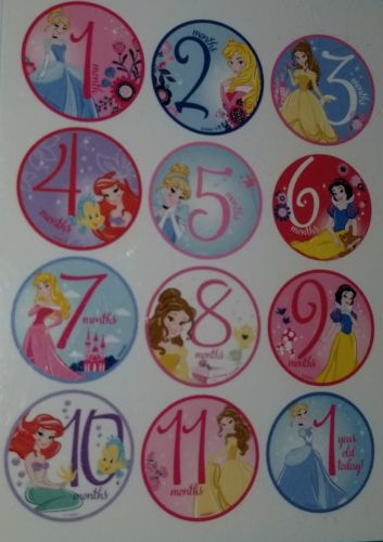 NEW DISNEY BABY PRINCESS FIRST YEAR MILESTONE BELLY STICKERS.