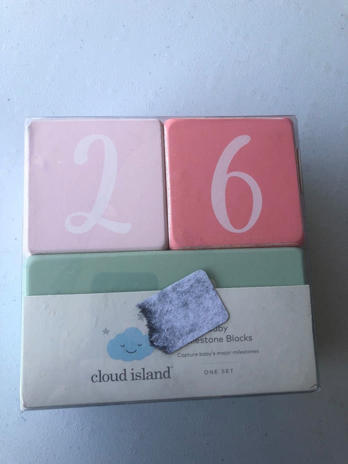 Premium Solid Wood Milestone Age Blocks  (Pink) Cloud Island
