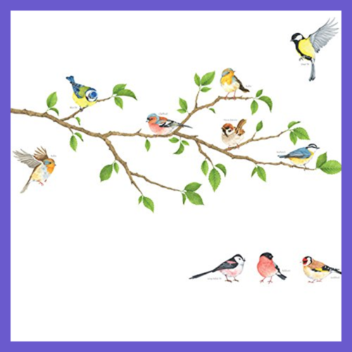 DA 1804 Garden Birds On Tree Branch Kids Wall Stickers Decals Peel & Stick Remov