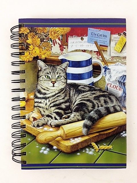 Naughty Cat in the Kitchen Lined Journal Notebook Hardcover Spiral Bound TABBY