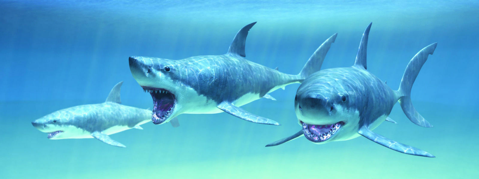 Gift Trenz 3D Motion Sharks Swimming Bookmark w/6 