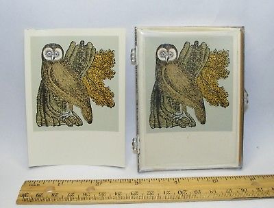 Box of 17 owl design bookplates in brown, green, gold, blue by Berliner McGinnis