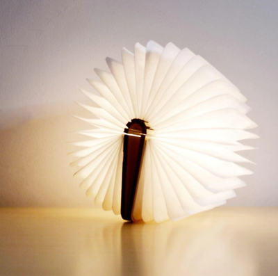 Portable Book Lamp