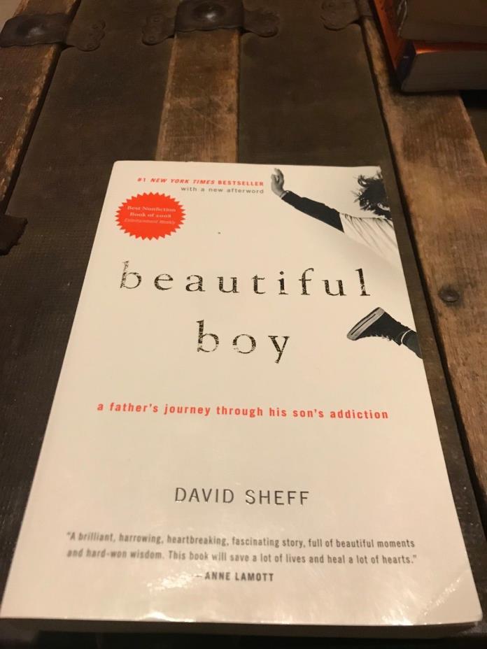 Beautiful Boy : A Father's Journey Through His Son's Addiction