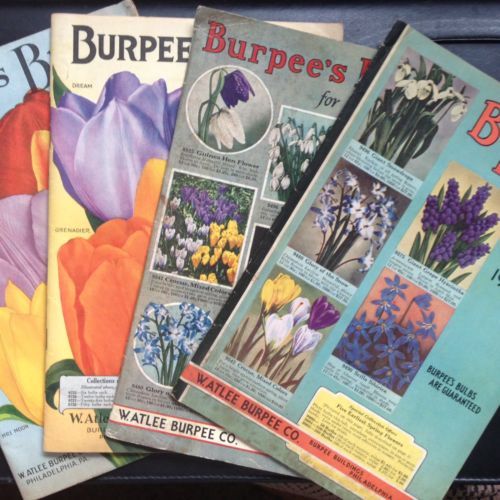 ORIGINAL BURPEE'S BULBS FALL PLANTING CATALOG LOT (4)~1929,1930, 1937,1938