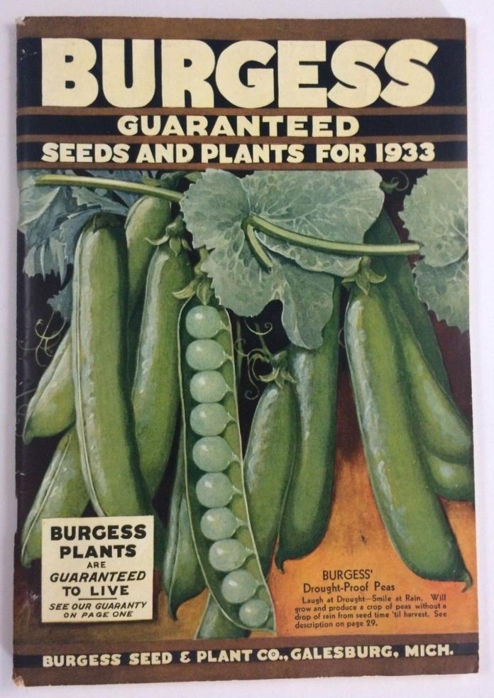 1933 BURGESS SEED & PLANT CATALOG AND GUIDE GALESBURG,MICHIGAN 128 PAGES