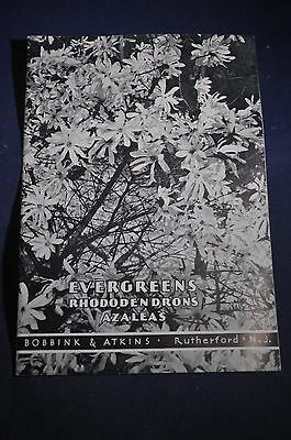 Ca 1937 Evergreens Rhodos Azaleas Bobbink