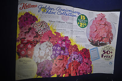 1937 Kelloggs Golden Anniversary Phlox