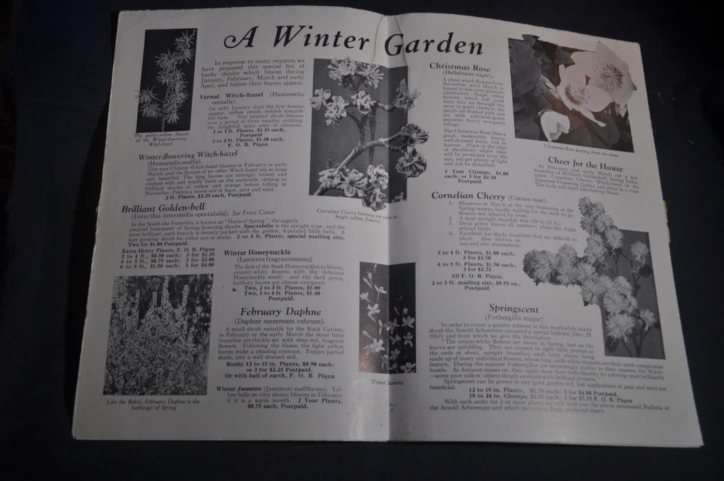 1938 Worthwhile Flowering Shrubs Catalog by AM Leonard, Piqua Ohio