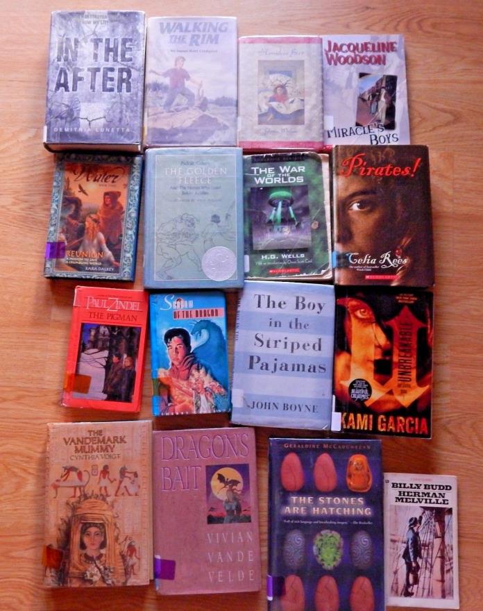 Middle Grade Accelerated readers Lot of 23 Chapter, Classroom