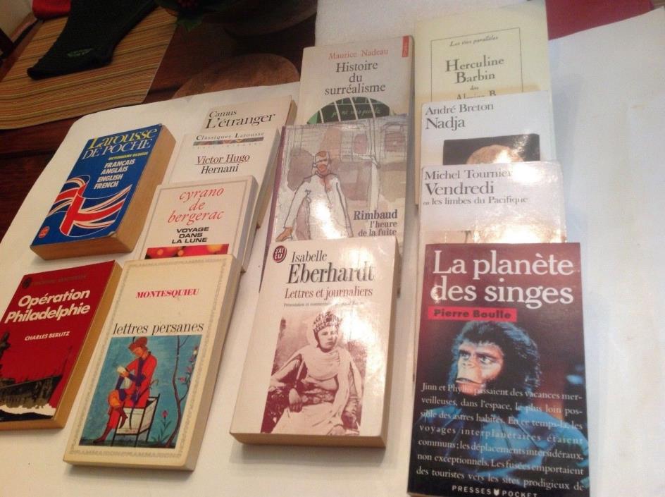 Lot of Twelve (12) classic and current Paperback novels and non fic French EUC
