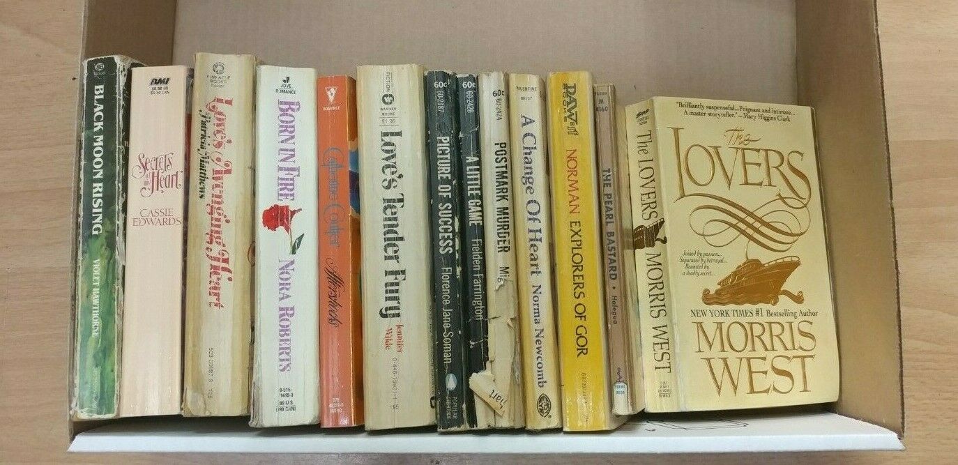 Lot of 13 Misc Romance Softcover Novels Historical Fiction Books Valentine