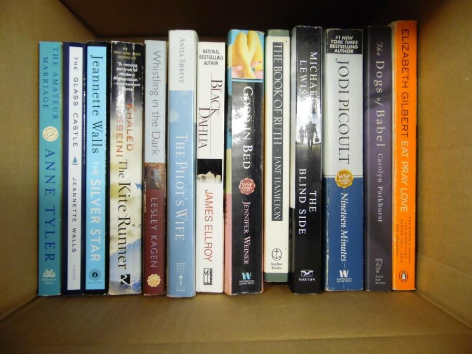 Large Lot of 22 Modern Literature, Women's Fiction, Oprah Paperback Books