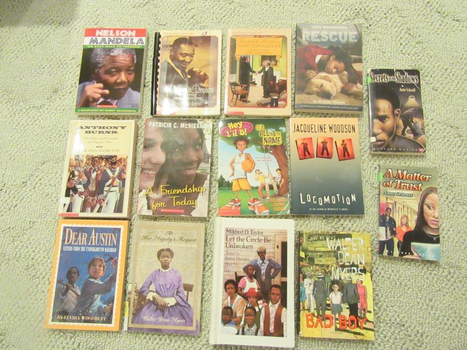 Lot of 14 African American Black History Chapter Books Children