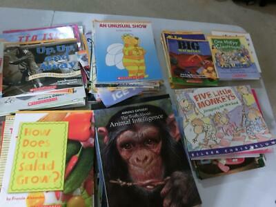 Huge Lot 91 K 1st  2nd 3rd  Grade AR Picture Books TEACHER LIBRARY