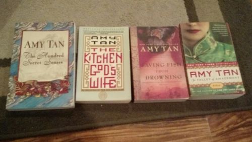 4 Amy Tam Novels