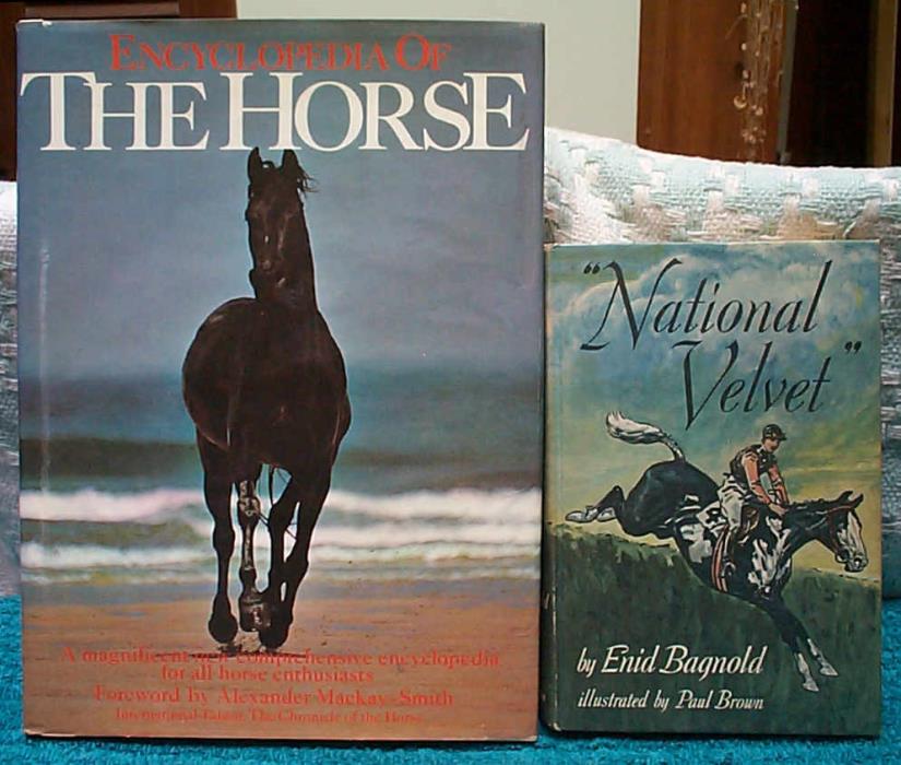Lot of 2 Hardcover Books Encyclopedia of the Horse National Velvet Enid Bagnold