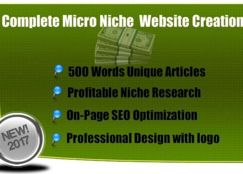 AdSense Approved SEO Optimized Micro Niche WebsiteMost websites make