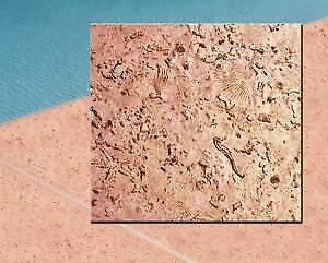 Increte Aquatic Life Concrete Stamp Set