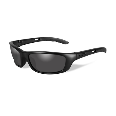 Wiley X - P-17 Glasses