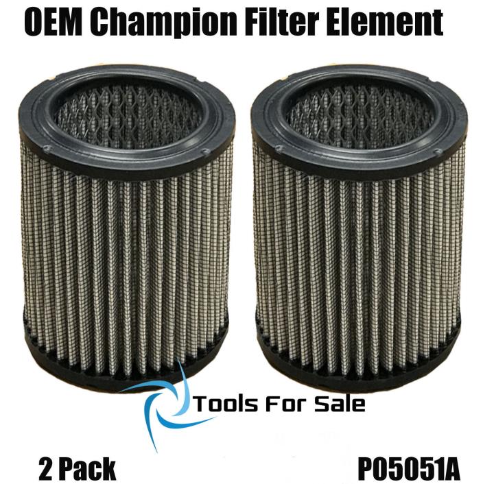 Champion Air Filter - Element - P05051A - (2 PACK) Washable