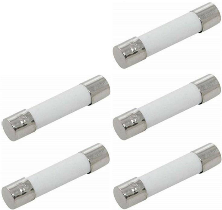 FAST- BLOW CERAMIC FUSE 20A 250V (6x30mm) FOR MICROWAVES (5-PACK)
