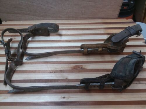 Vintage BELL SYSTEM Buckingham Tree Pole Climbing Spikes Gaffs - Complete Set