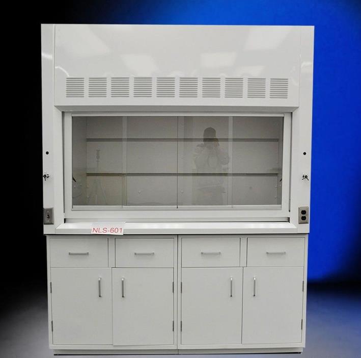 6' Fisher American Chemical Fume Hood with Valves, Dual Sash & Base Cabinets - R