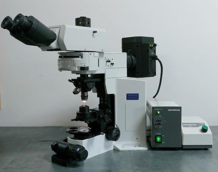 Olympus Microscope BX51WI Water Immersion with Fluorescence and DIC