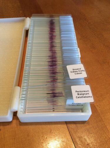 Microscope.com Omano  OMSK 50 Human Pathology Slides NIB