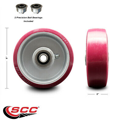 SCC - 5
