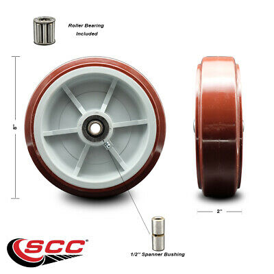 SCC - 8