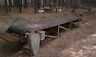 Pecan conveyor inspection table